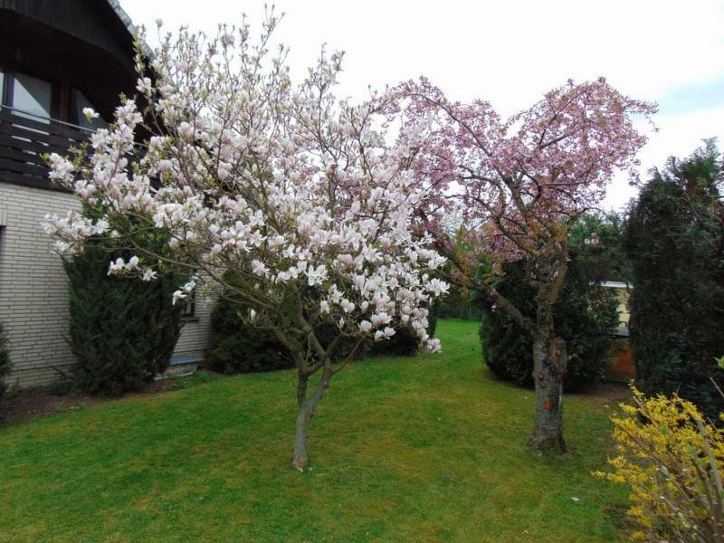 Ferienwohnung Holzberger Γκόσλαρ Εξωτερικό φωτογραφία